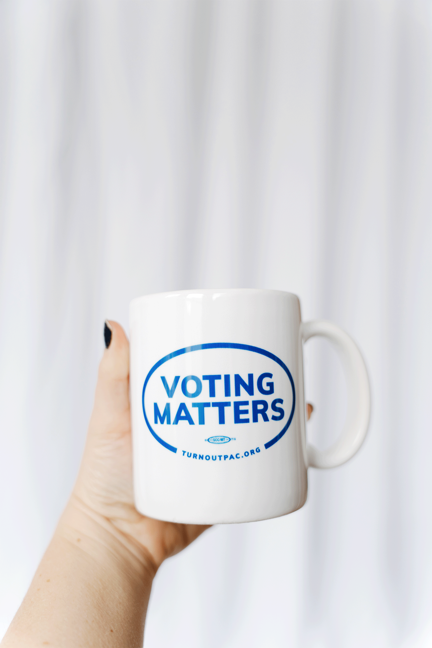 Voting Matters Mug