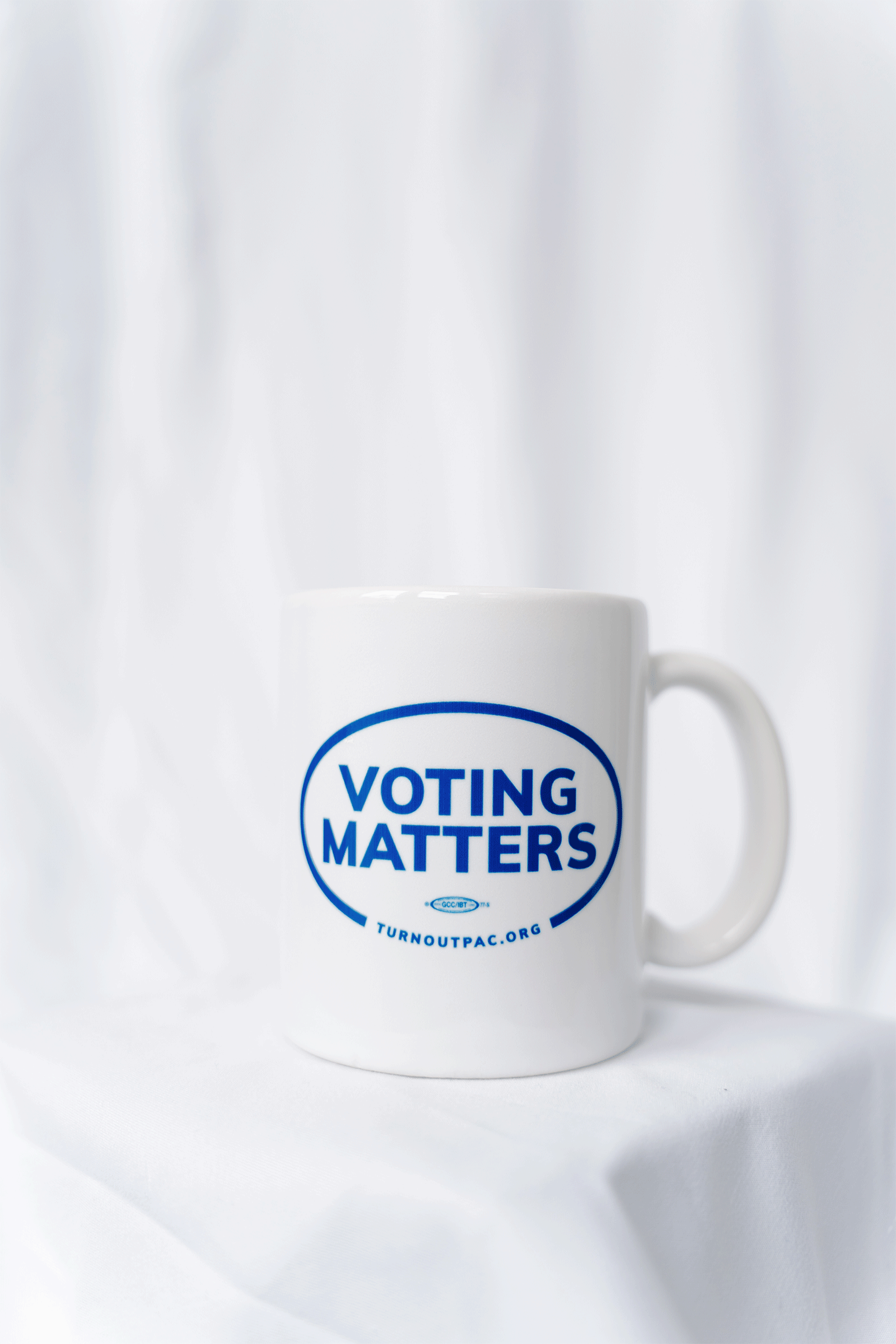Voting Matters Mug
